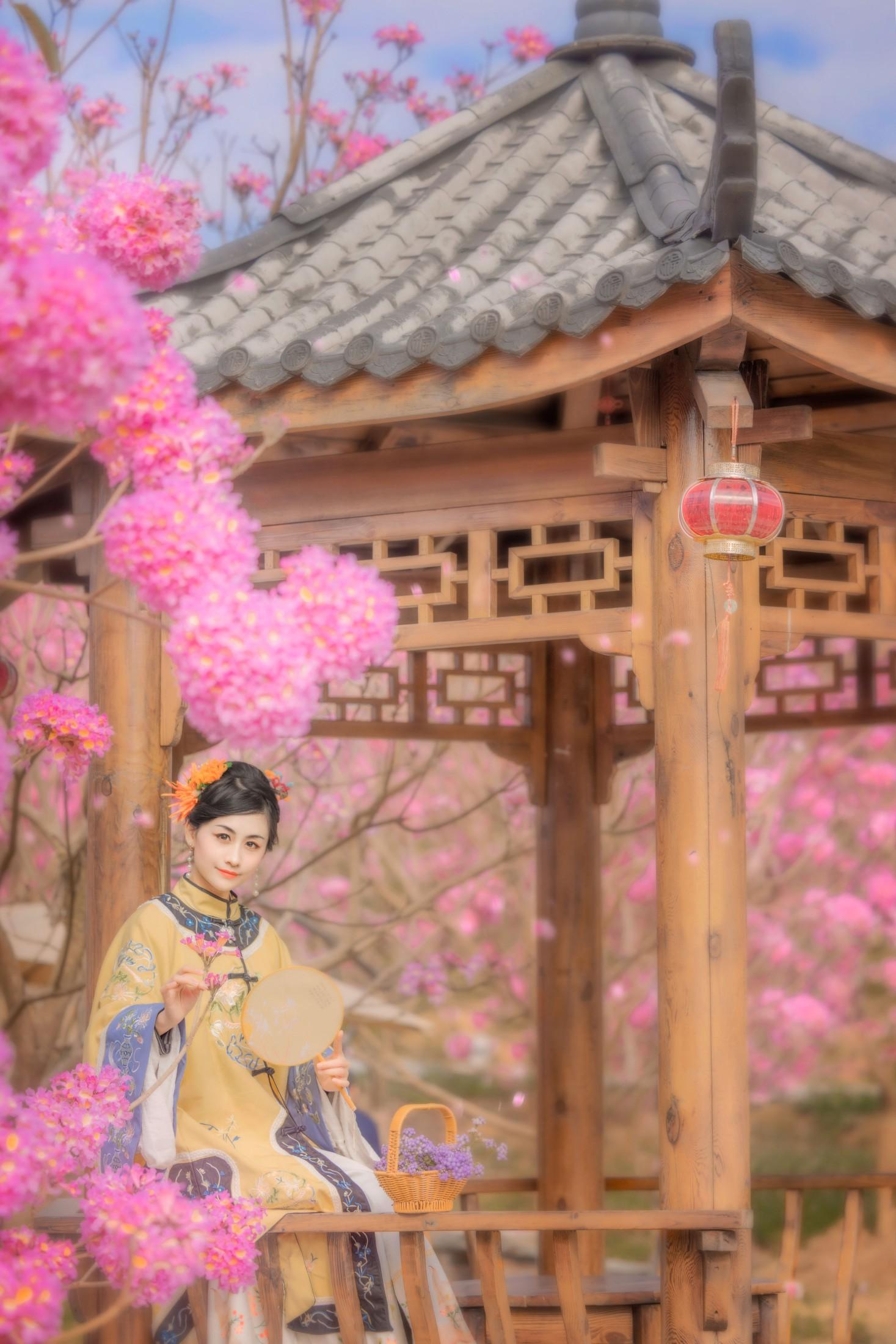 ID10072风铃晚 - 妍画集-妍画集
